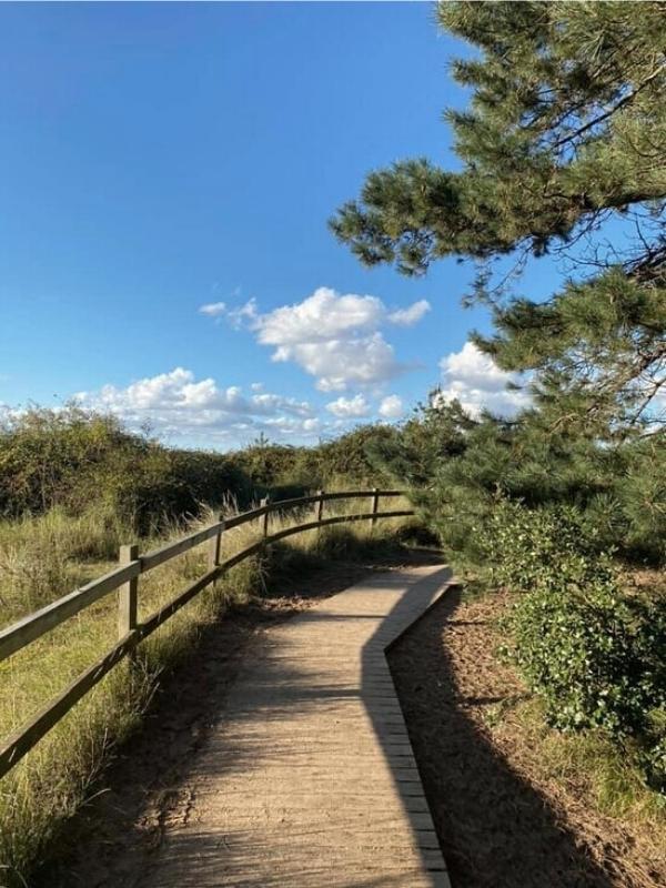 Walk through the pinewoods to access Holkham beach