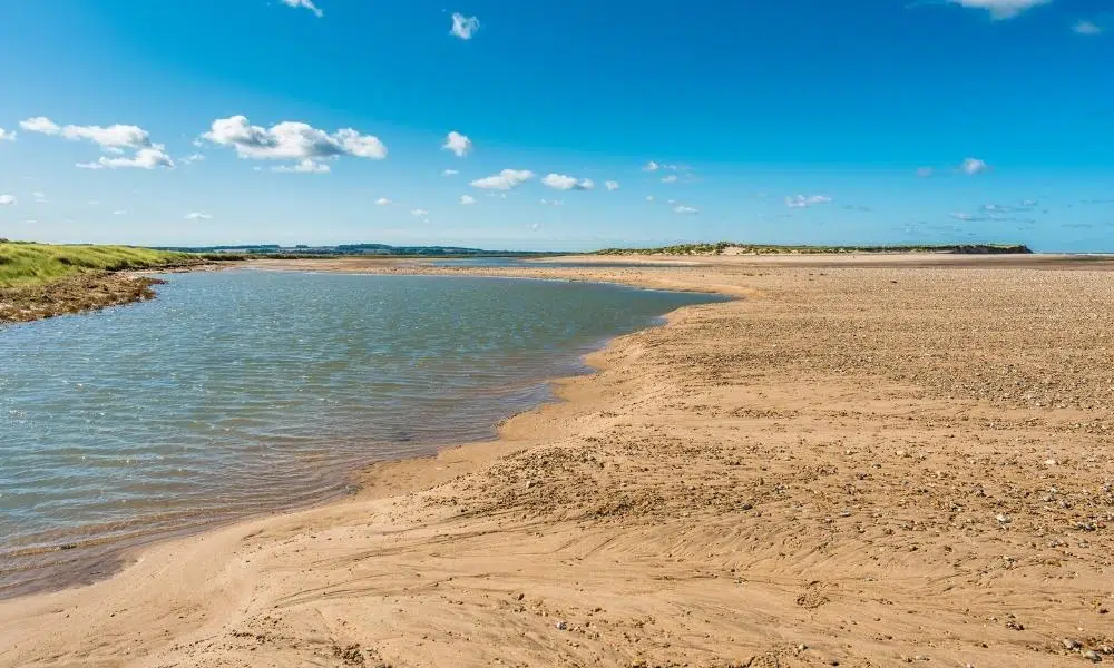 Holkham nature reserve