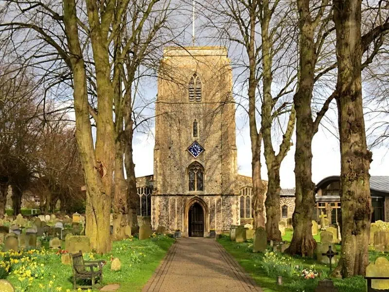 St Andrews church Holt with trees lining the path and daffodils in the grass
