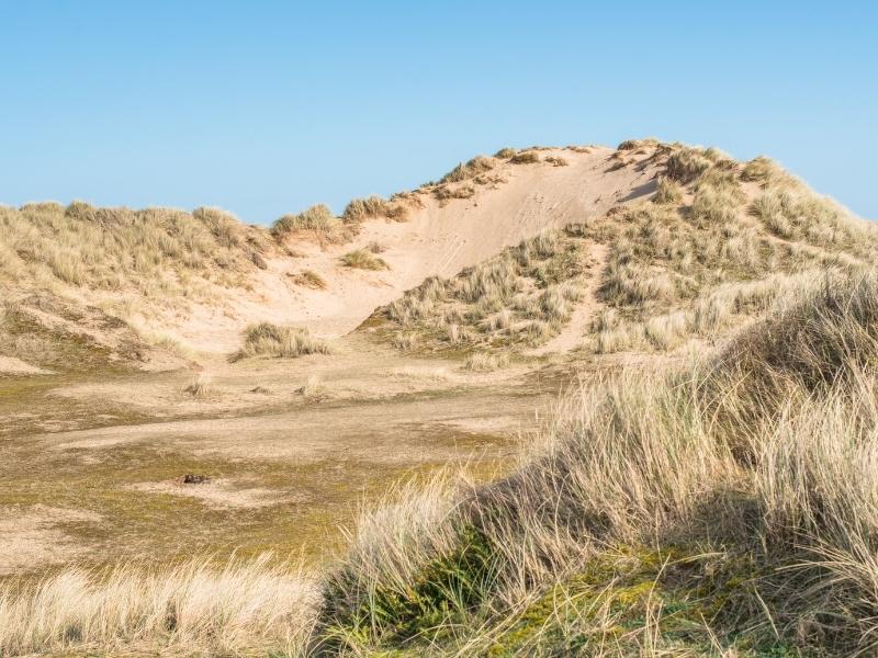 Winterton and Horsey dunes covered in marram grass