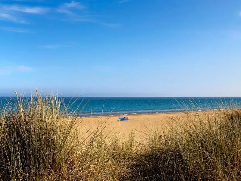 Winterton beach viewed through the grassy dunes