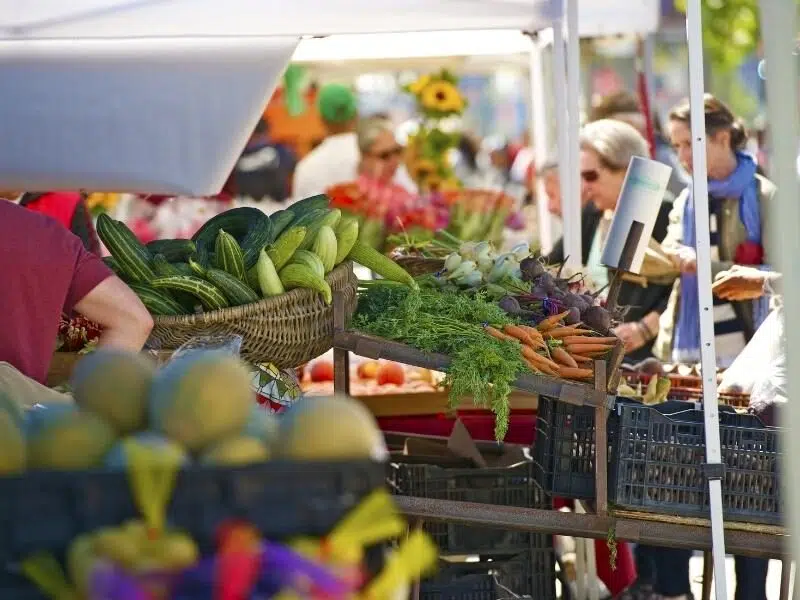 Norfolk farmers markets