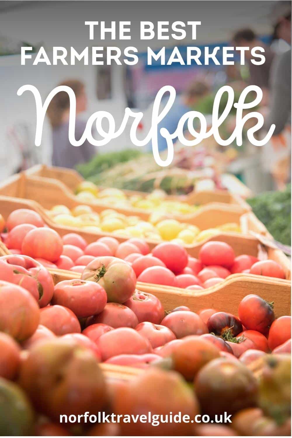 The Best Norfolk Farmers Markets You Won’t Want to Miss! Written by a