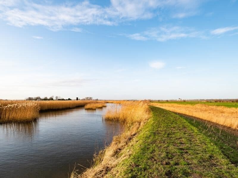 Norfolk Nature Reserves - Ultimate A-Z Guide | Written by a Local