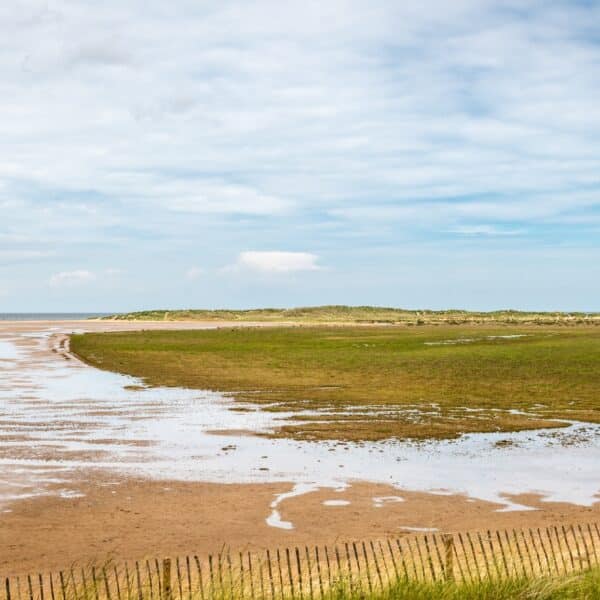 Ann image of the beach and marshes at low tide