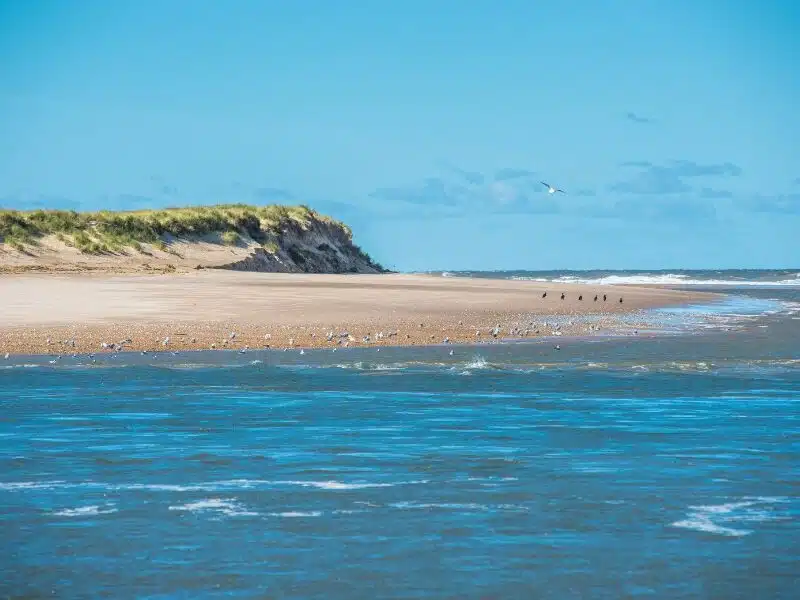 Blue sea with a sandy beach and small grassy cliff