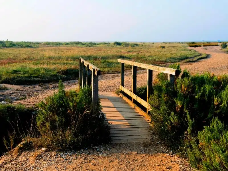 A wooden bridge over a marsh creek in Norfolk