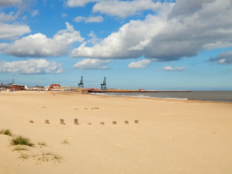 is gorleston beach dog friendly