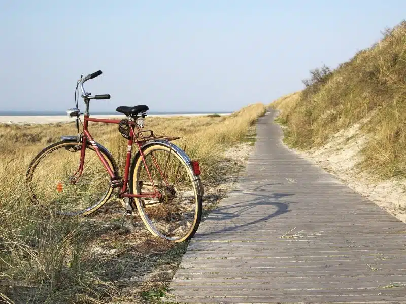 Bike by a boardwalk to a beach and grassy dunes