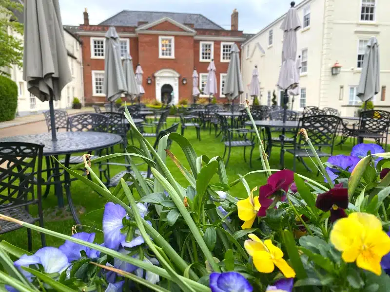 Afternoon tea in Norwich