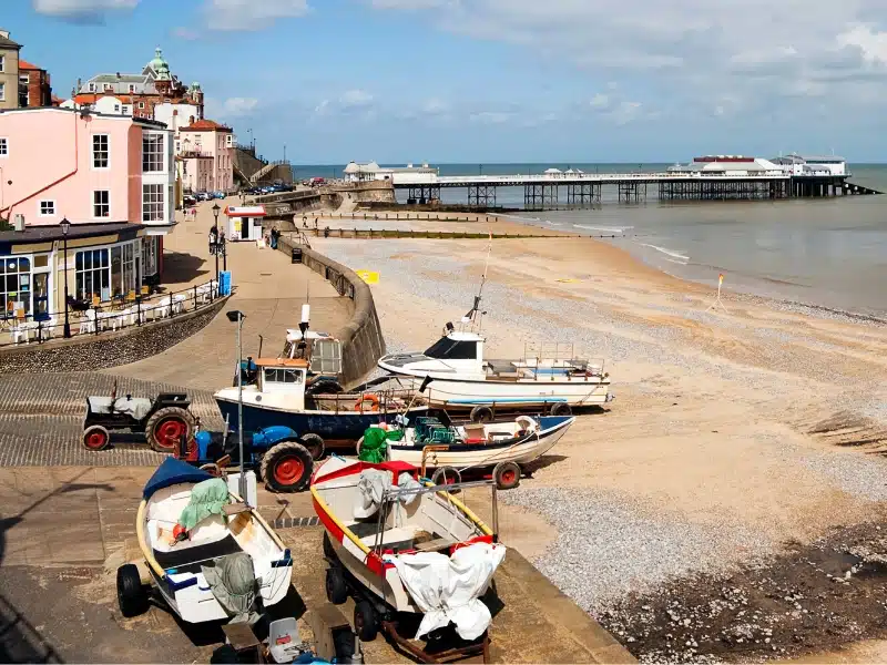 Cromer crab