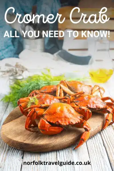 guide to the best Cromer crab