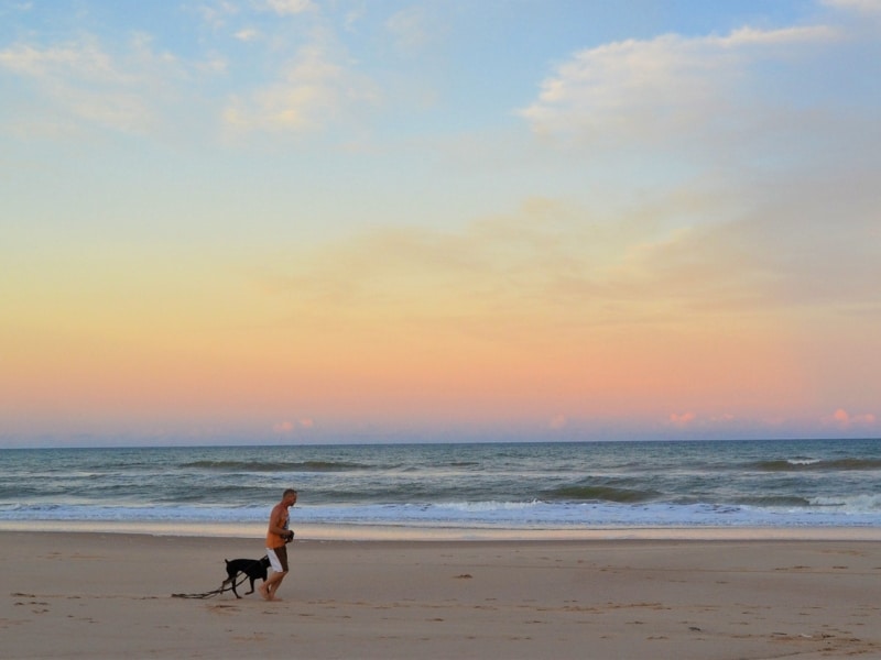 dog friendly beaches Norfolk