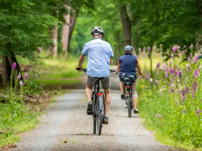 People cycling along a country lane