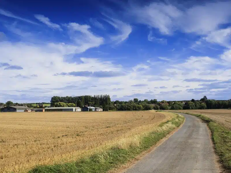 A road though fields of hay in Norfolk