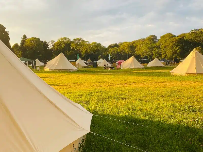 Glamping tents in a field surrounded by trees