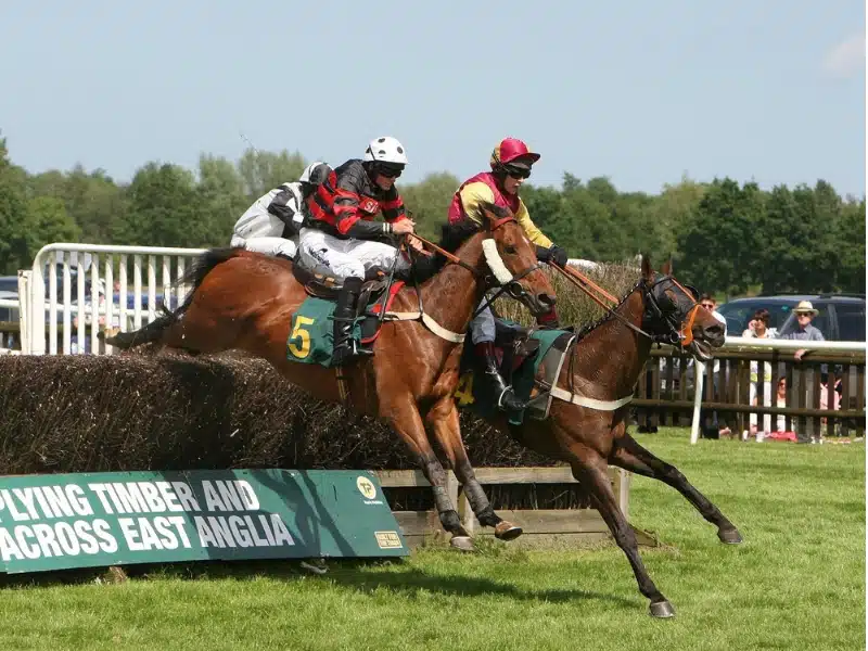 Race horses and jockeys umping a hedge on a racecourse