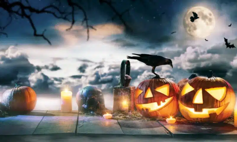 Carved pumpkins against a stromy sky with a crow perched on one