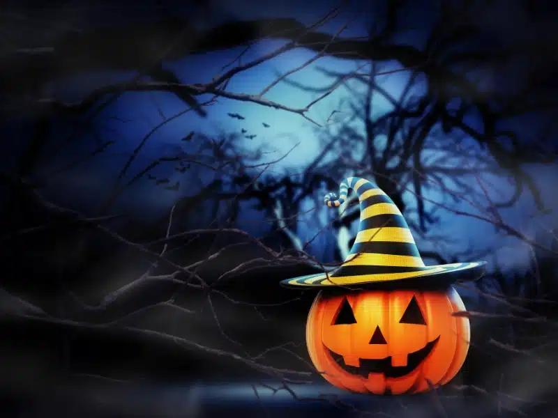 Carved pumpkin wearing a black and yellow striped witches hat