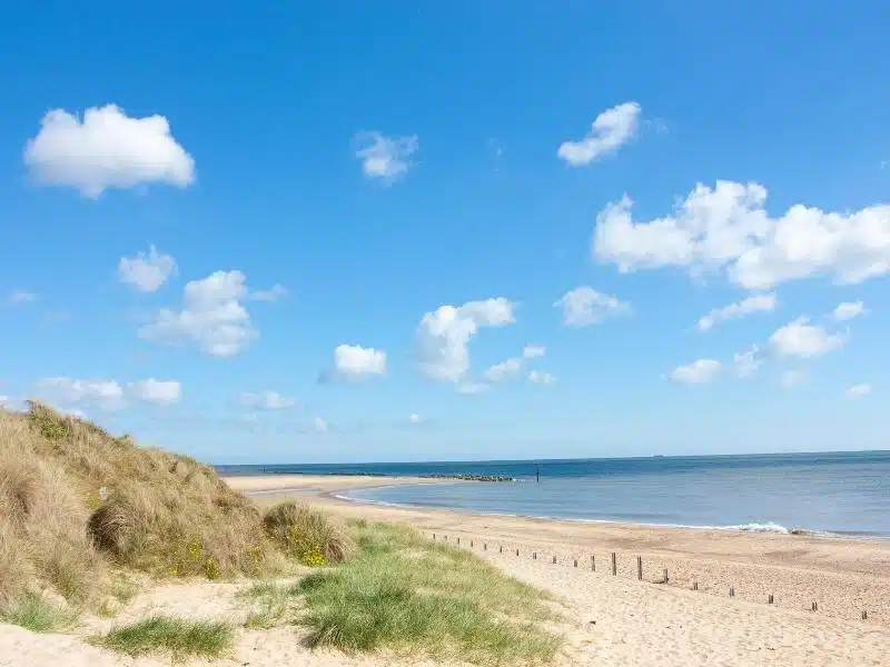 sea trips norfolk